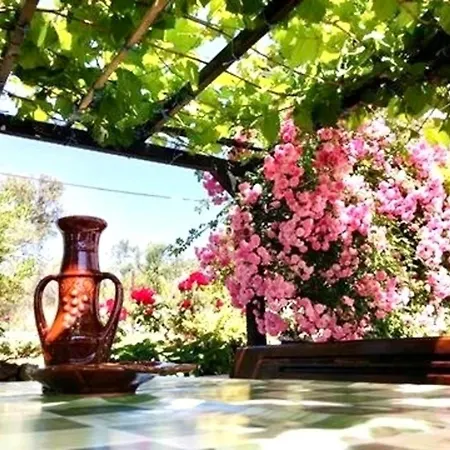 בית נופש Casa Vecchia Viskic